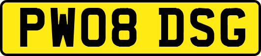 PW08DSG
