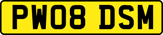 PW08DSM