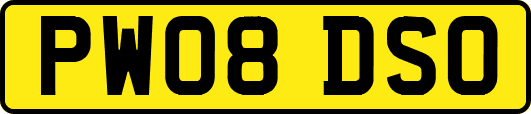 PW08DSO