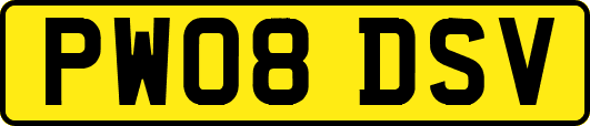PW08DSV