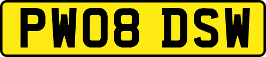 PW08DSW