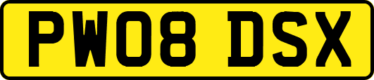 PW08DSX