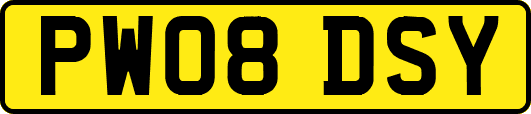 PW08DSY