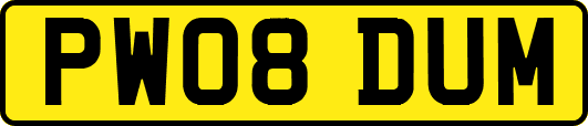 PW08DUM