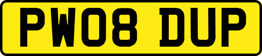 PW08DUP