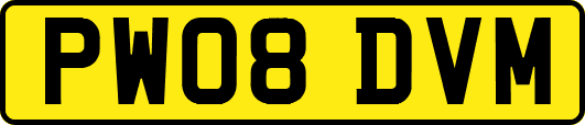 PW08DVM