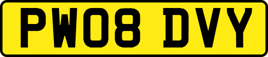 PW08DVY