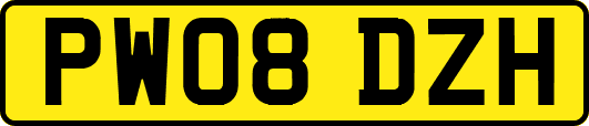PW08DZH