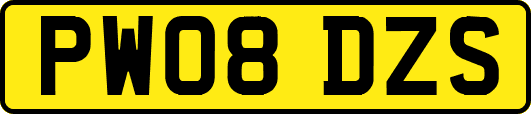 PW08DZS