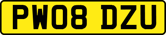 PW08DZU