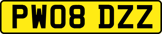 PW08DZZ