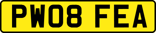 PW08FEA