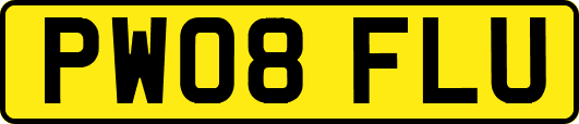PW08FLU