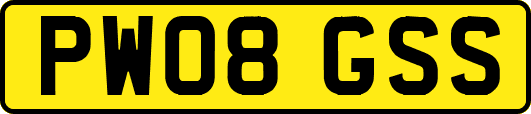PW08GSS
