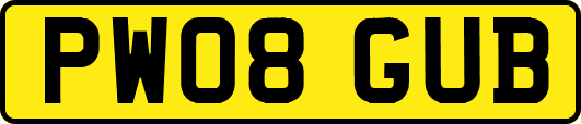 PW08GUB