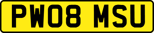 PW08MSU