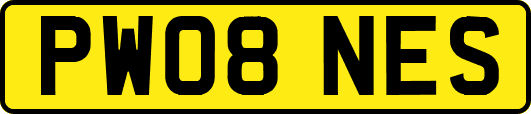 PW08NES