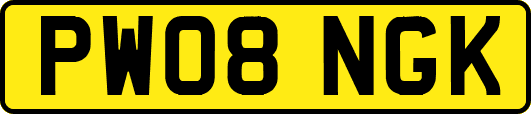 PW08NGK