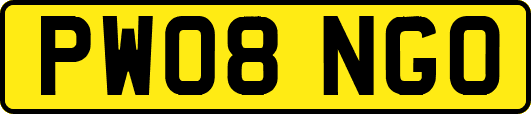 PW08NGO