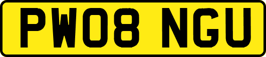 PW08NGU