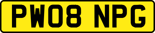PW08NPG