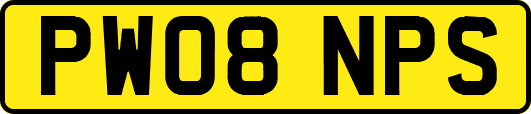 PW08NPS