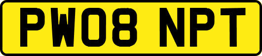 PW08NPT