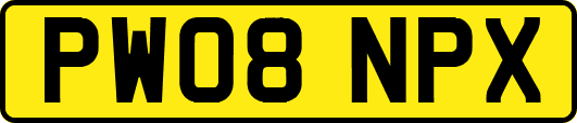 PW08NPX