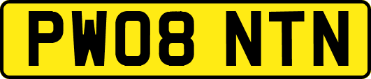 PW08NTN