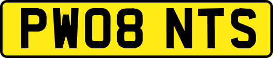PW08NTS