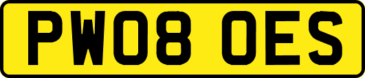 PW08OES