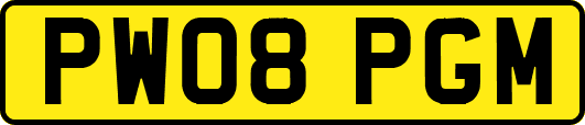 PW08PGM