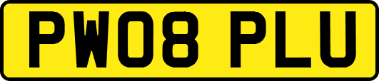 PW08PLU