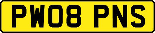 PW08PNS