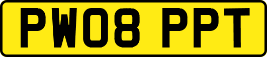 PW08PPT