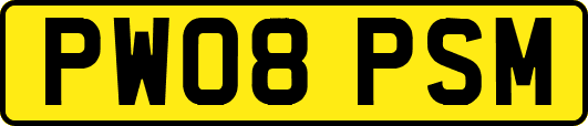 PW08PSM