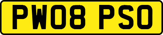PW08PSO