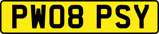 PW08PSY