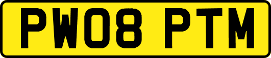 PW08PTM