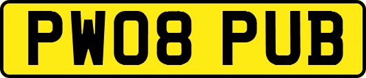 PW08PUB