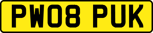 PW08PUK