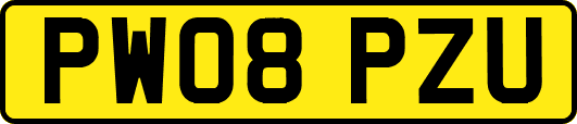PW08PZU