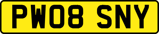 PW08SNY