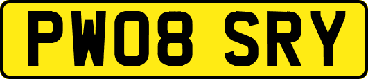 PW08SRY