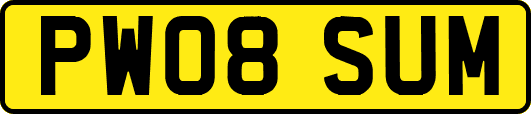 PW08SUM