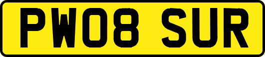 PW08SUR