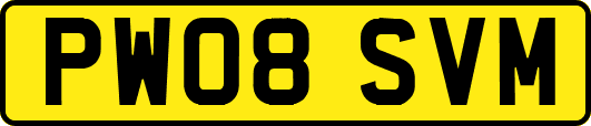 PW08SVM