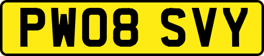 PW08SVY