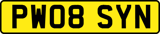 PW08SYN