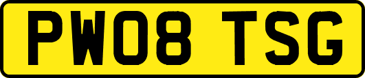 PW08TSG